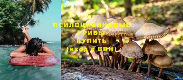 дурь Белая Калитва