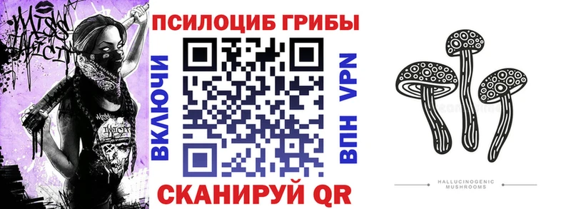 Псилоцибиновые грибы прущие грибы  где продают наркотики  Кунгур 