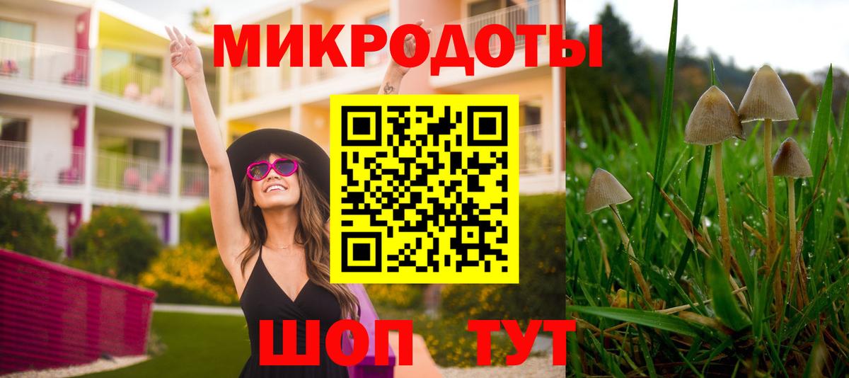 Псилоцибиновые грибы Cubensis Кунгур